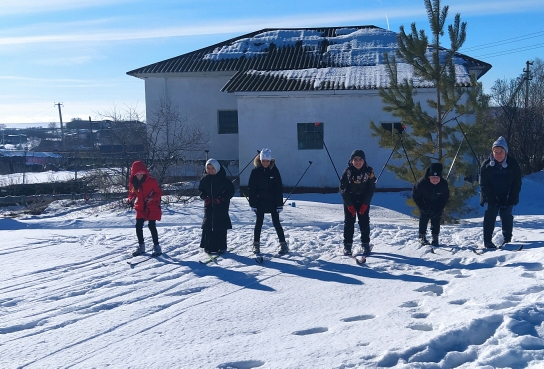 Соревнования по лыжным гонкам.