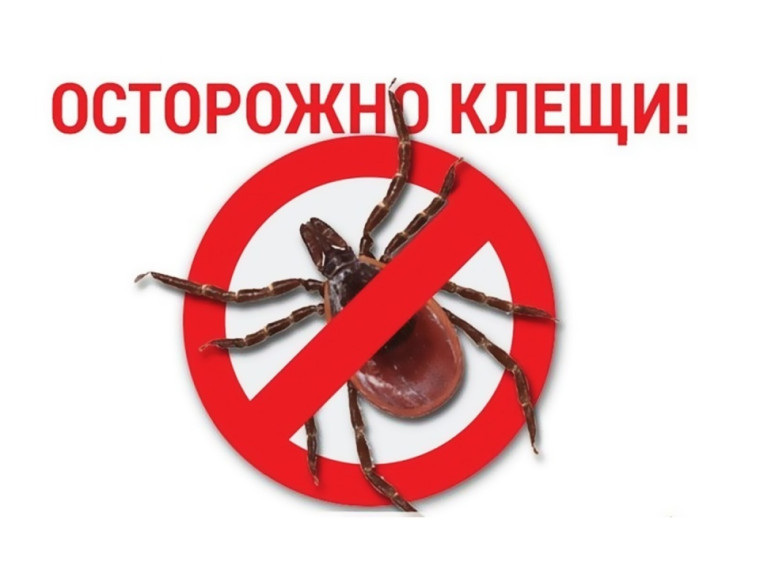 Внимание! Профилактика клещевых инфекций..
